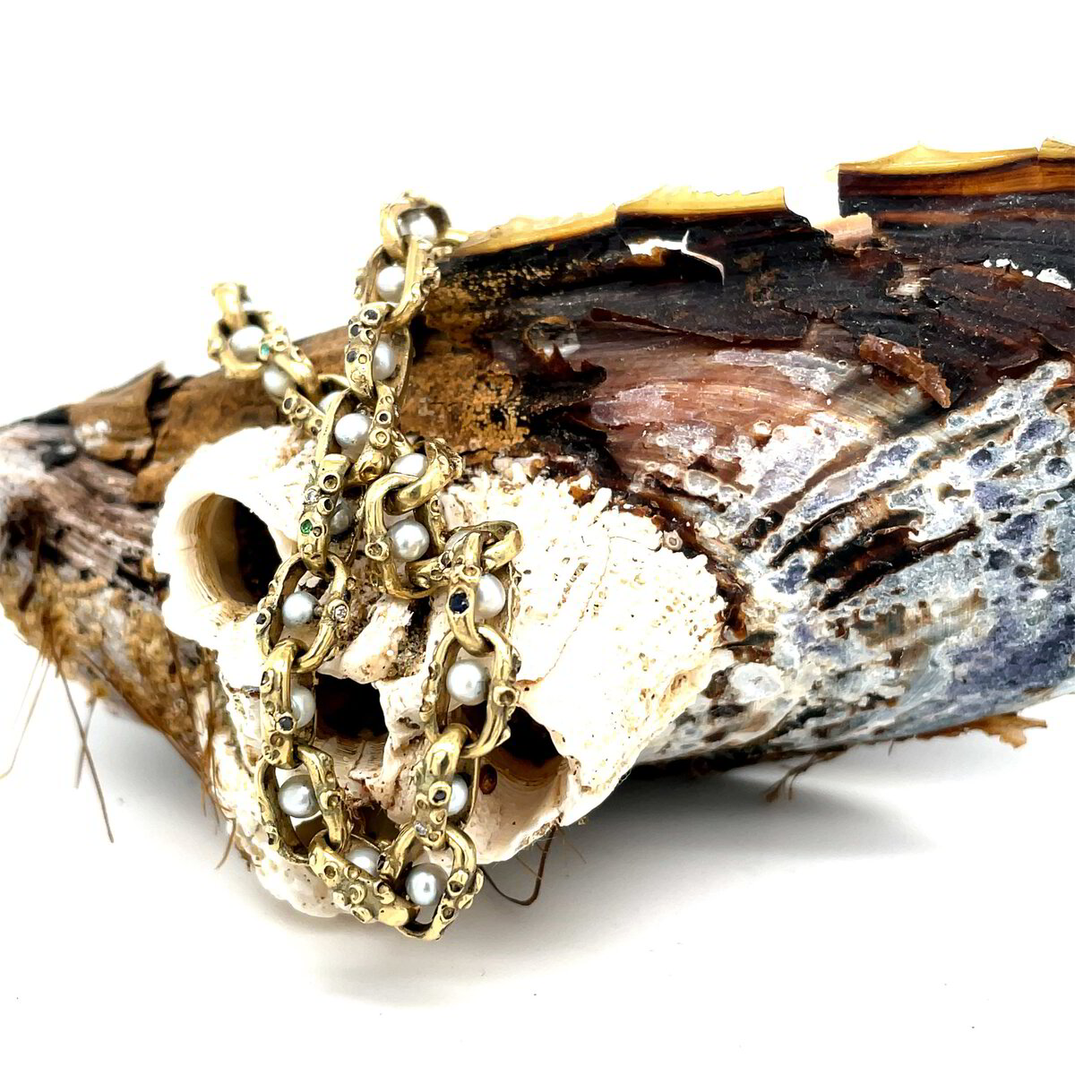 Encrusted Mariner Bracelet - Amici Gold