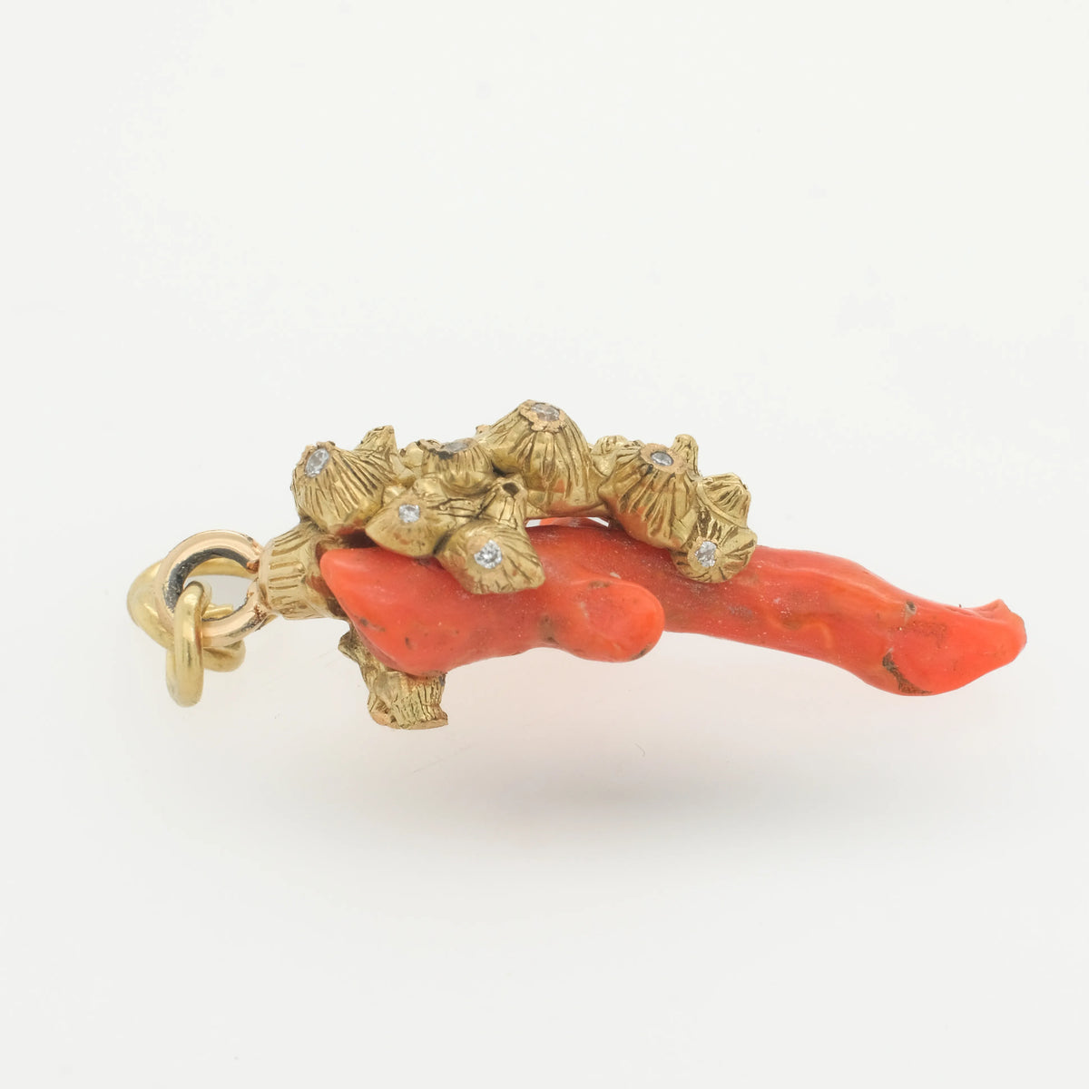 Bahamian Coral