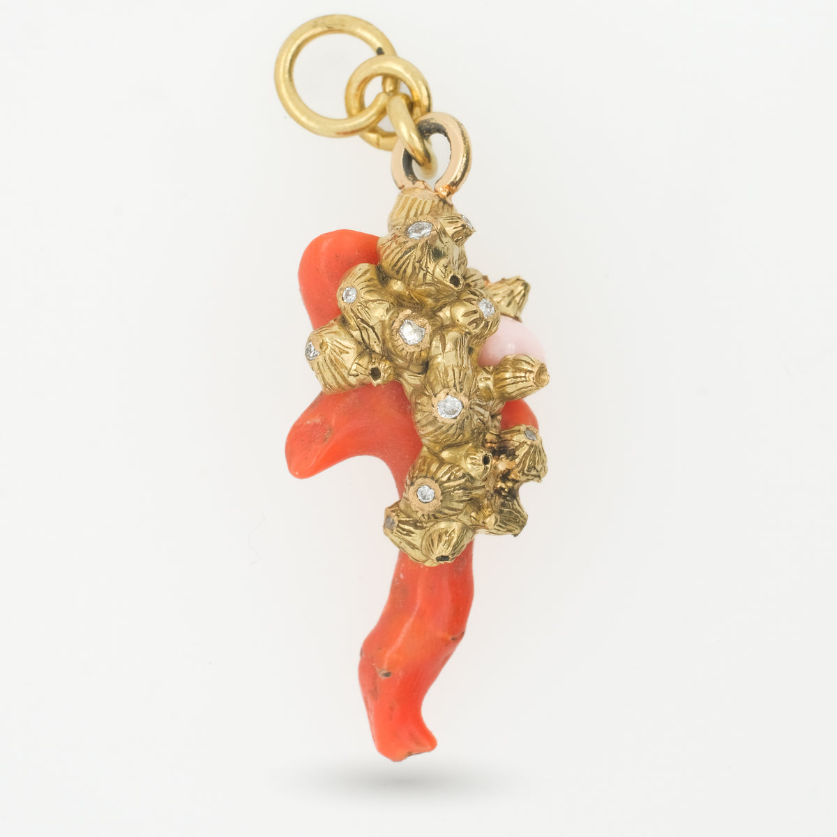 Bahamian Coral - Amici Gold