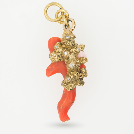 Bahamian Coral - Amici Gold