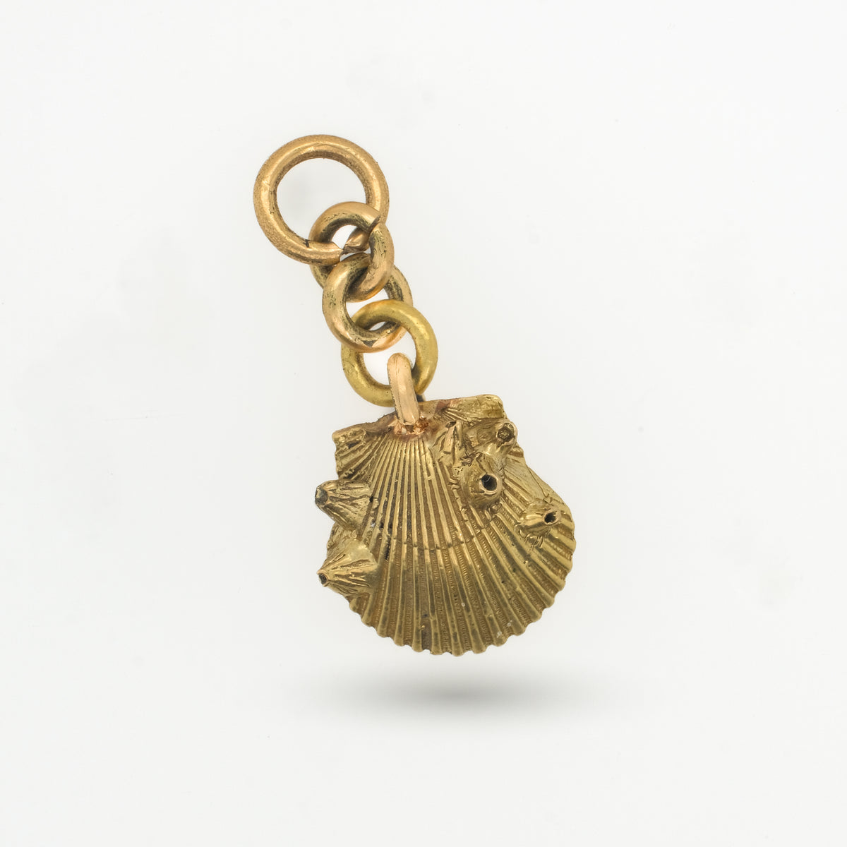 The High Tide - Amici Gold