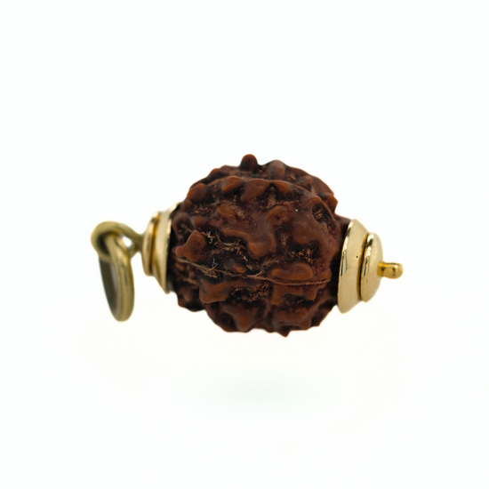 The Rudraksha Meditation Amulet - Amici Gold